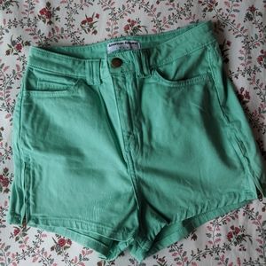 American Apparel Mint Green High Waisted Shorts